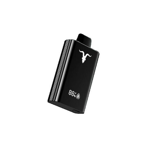 Ignite V120 12000 Puffs Mentol