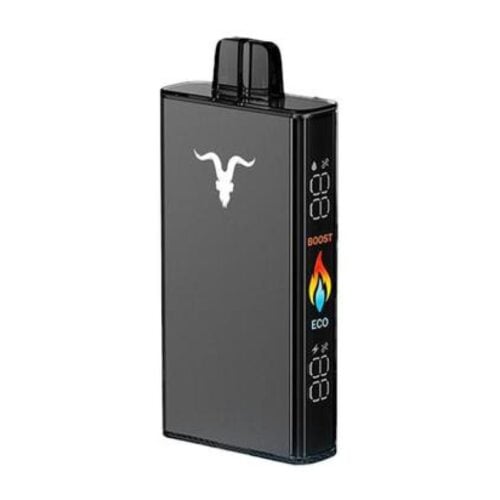 Ignite V250 25000 Puffs Minty melon